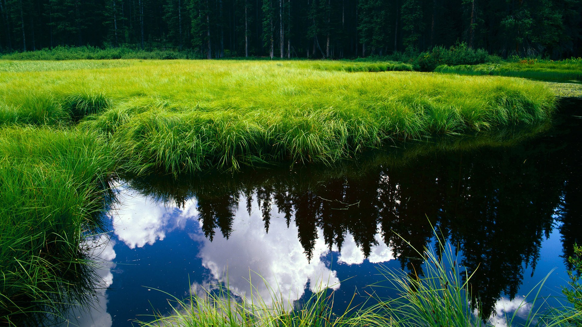中超联赛赛程调整,比赛更加激烈紧凑,中超联赛的赛程