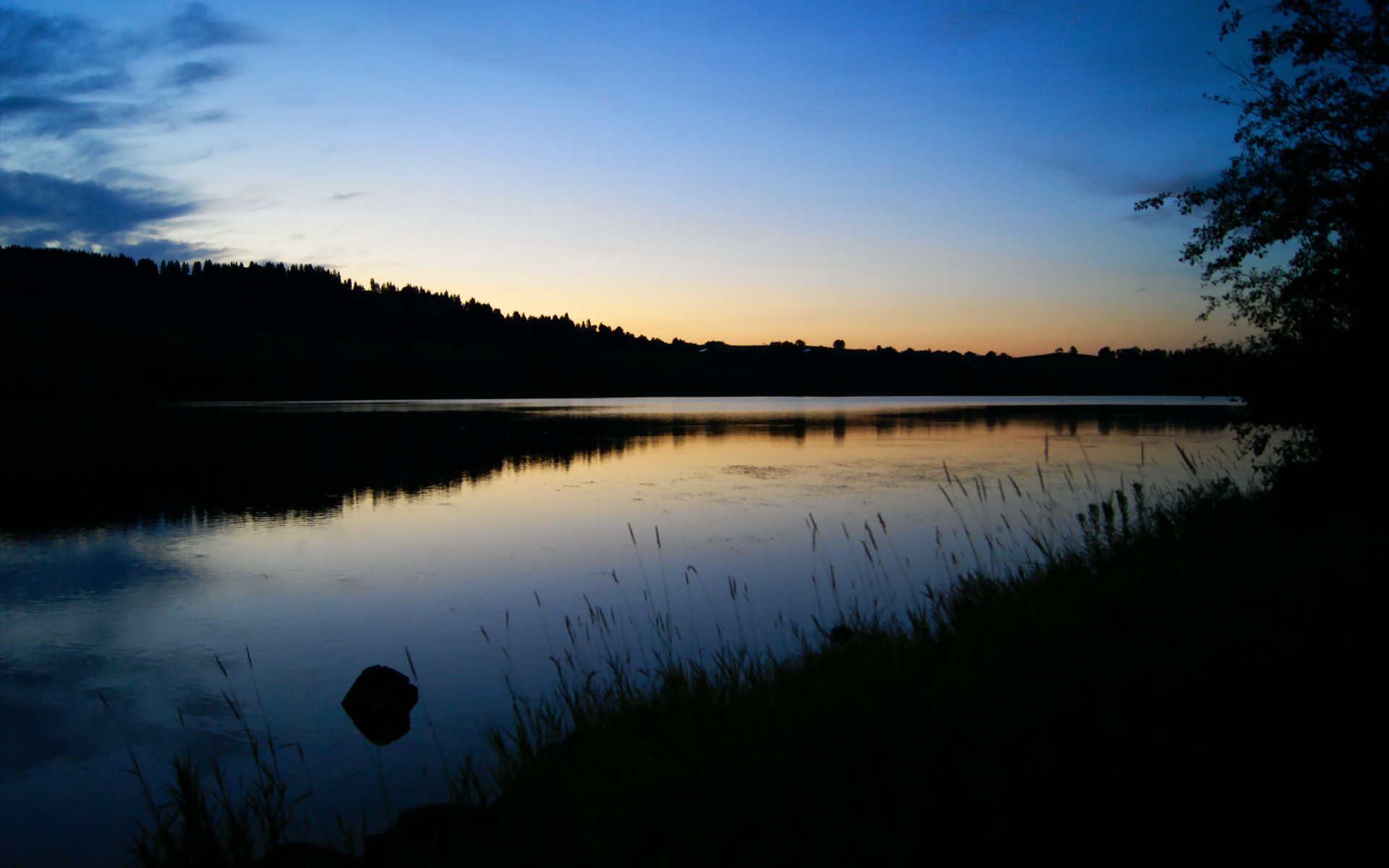击败劲旅夺冠,夺冠内参解析推理