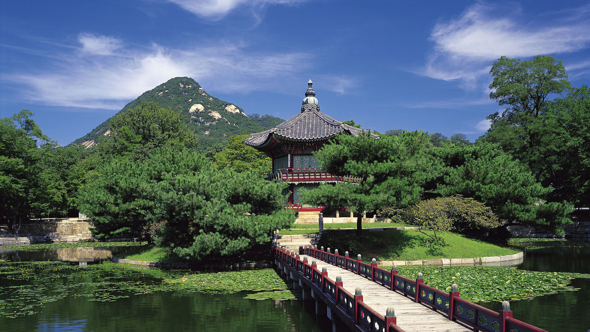 多特蒙德主场1-1战平沃尔夫斯堡，错失三分，多特蒙德对沃尔夫斯堡比赛结果