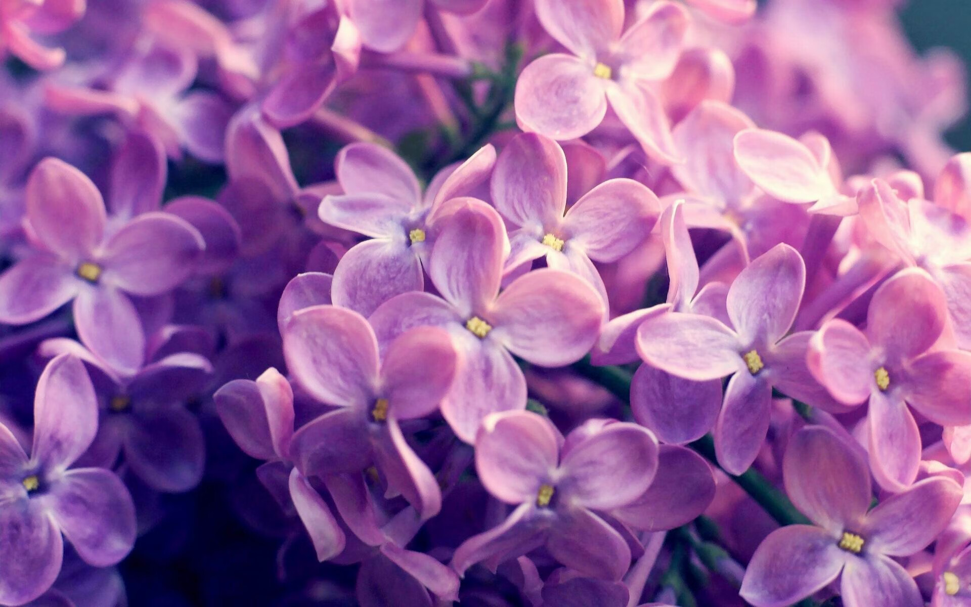 瑞士球员在点球前祈祷“像钟表一样精准”,果真进了