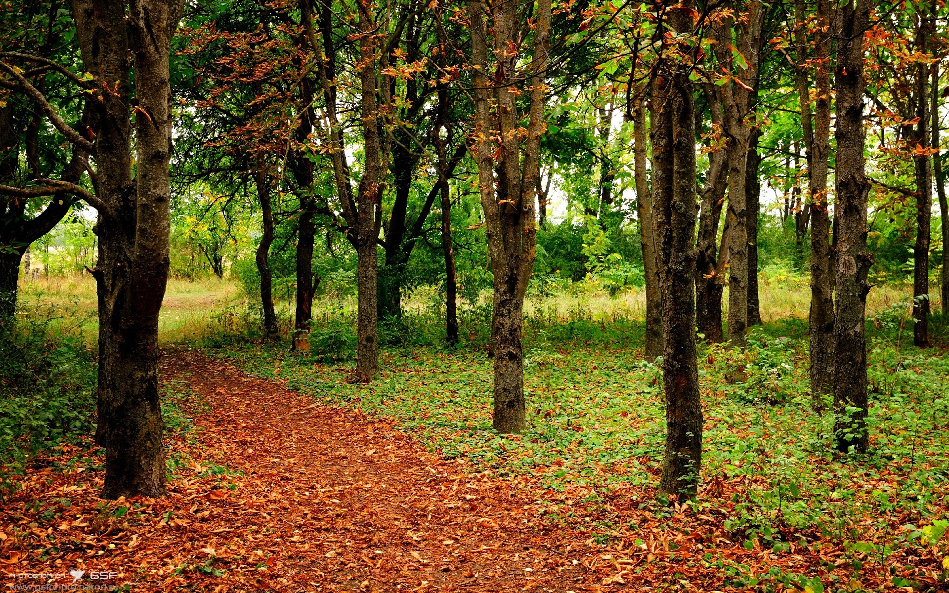 米兰体育中国官网-“2025新加坡世界游泳锦标赛：水上芭蕾给你带来惊艳演出”