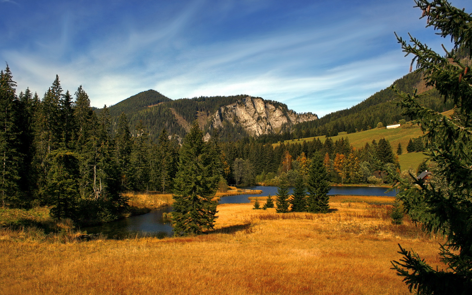 米兰体育下载-主帅换人反超时机把握对球队士气的即时影响，主帅更迭、失去最佳拍档