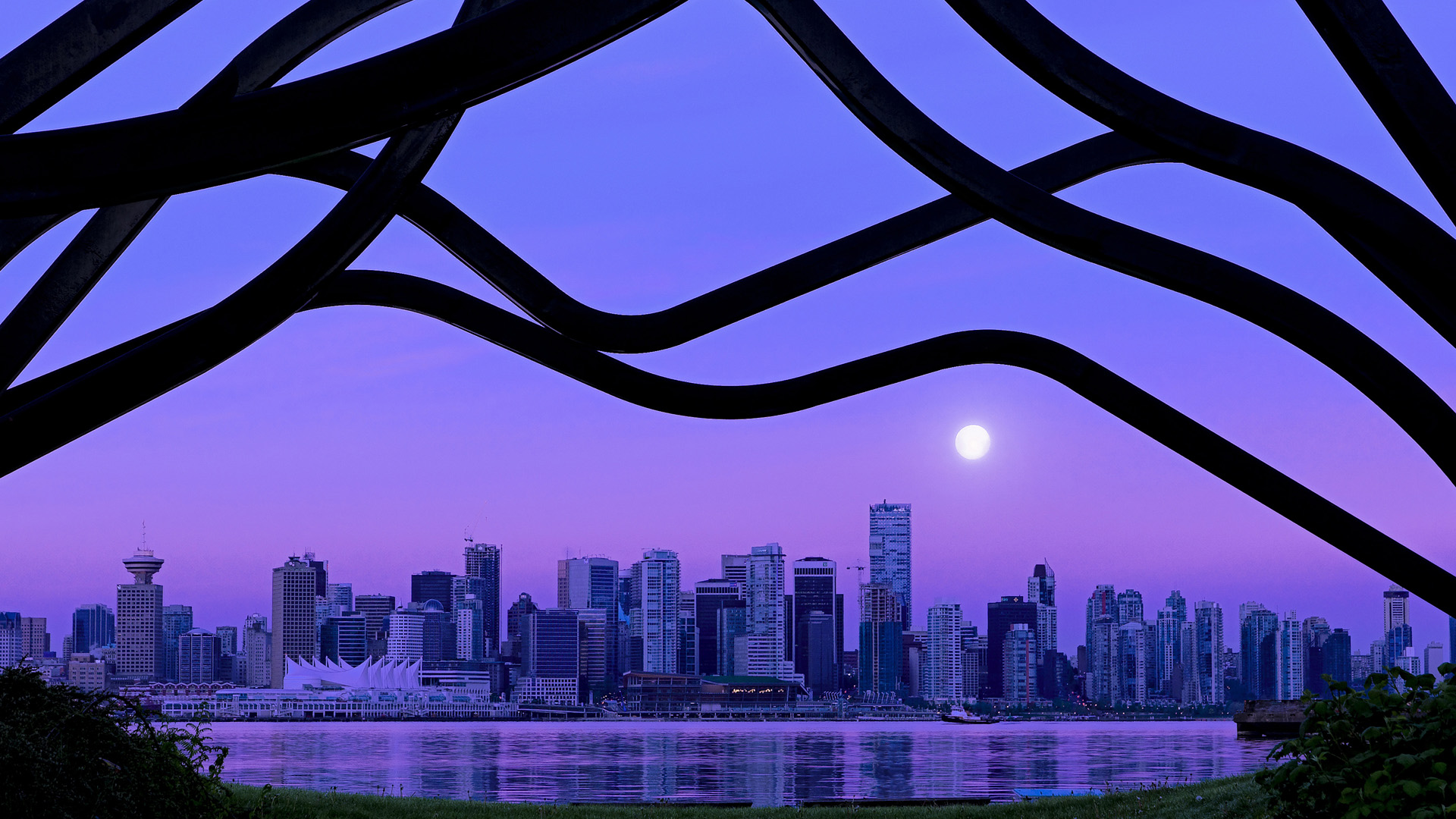 米兰体育官方网站入口-男子蝶泳争金惜败留遗憾，男子蝶泳世界记录