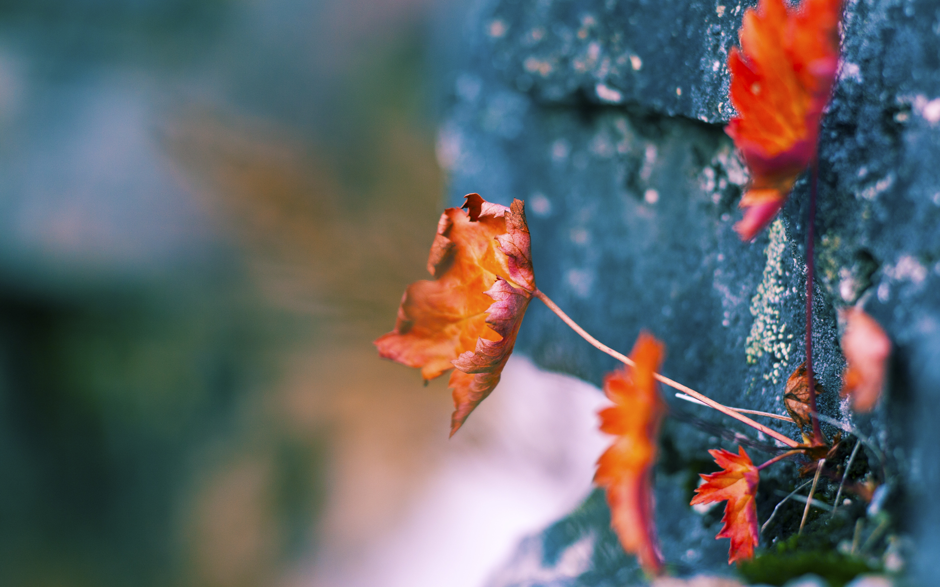 milan.com-美队后程爆发 展现强大冲刺力，美队之后的一部电影是什么